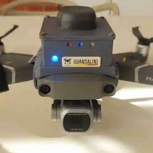 Miniatura