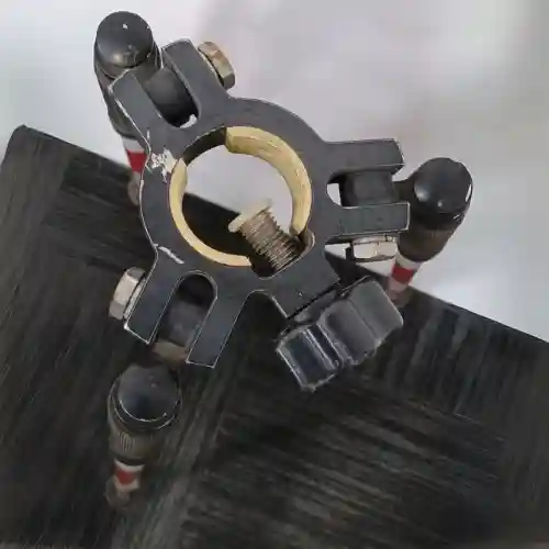 Miniatura