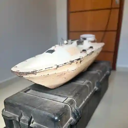 Miniatura