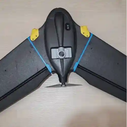 Miniatura
