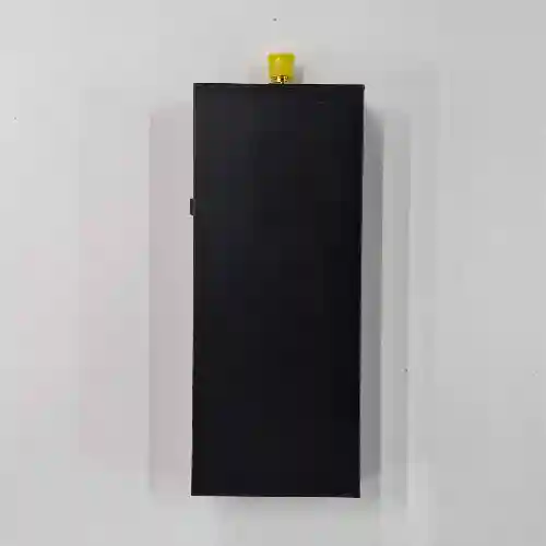 Miniatura
